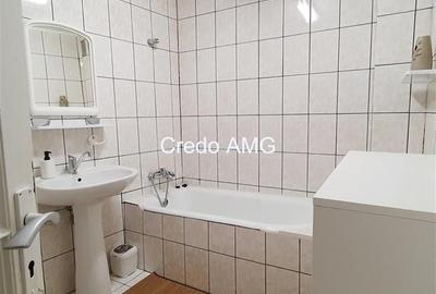 Stefan cel Mare, Vasile Lascar, inchiriere vila singur curte Stefan cel Mare, Vasile Lascar, inchiriere vila singur curte - 13