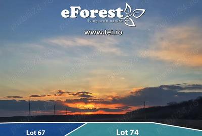 Teren premium in cartier rezidential eForest, doua paduri - 4