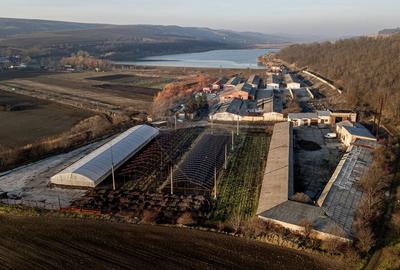 Fosta Ferma a Partidului  de la Horgesti - de vanzare - 12