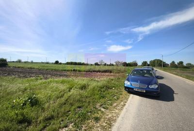 Teren Construcții intravilan de 4770 mp, în Dărăști-Ilfov - 2