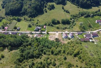 Teren Construcții de 9371 mp, în Podiș - 5