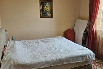 Ciopani vila 5 camere teren 4000 mp - 18