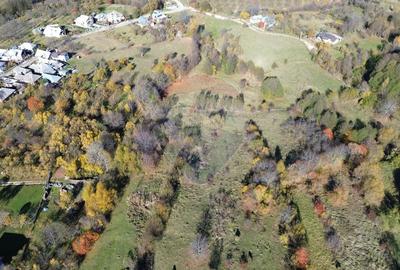 Teren si casa de vanzare la baza muntelui Iezer in Valea Mare Pravat - 14