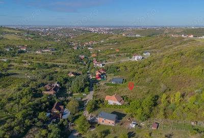 Teren 6.583 mp cu dubla deschidere ?i utilita?i, Calea Adevarului Oradea - 8