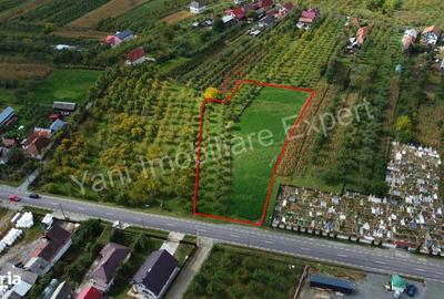 Teren de 2619 mp, în Corbeni - 11