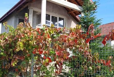Casă cu 3 camere cu Teren 300 Mp în Voluntari - 2