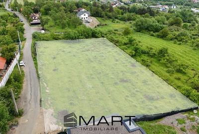 Teren Construcții intravilan de 4000 mp, în Cisnădioara