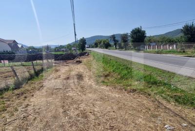 Teren de vanzare 1Ha si 42 Ari, zona Viisoara - 2