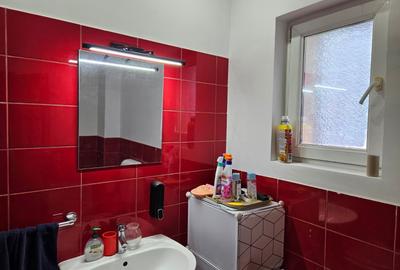 Casă individuală 7 camere, P+E+M, 2000, Timișoara, zona Dâmbovița, comision 0% - 12