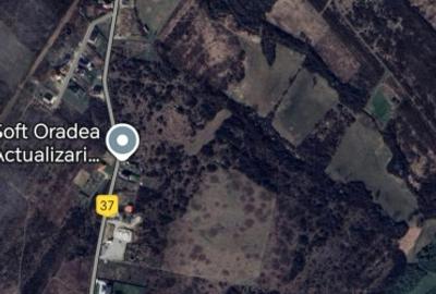 Teren intravilan de vanzare - 902 mp, Paleu, Bihor | PUZ aprobat - 9