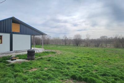 Satnoieni, comuna Dichiseni, jud Calarasi - 2