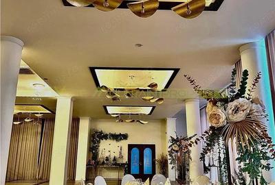 Timisoara, OPORTUNITATE INVESTITIE, hotel, clinica sau azil, 41 camere - 16