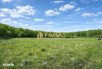Teren de 2100 mp, în Mitocu Dragomirnei