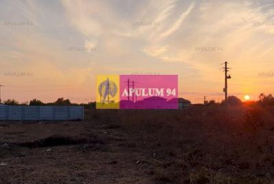 Teren construcție casă - 1 Decembrie - Zona Metropolitană București Teren construcție casă - 1 Decembrie - Zona Metropolitană București - 44