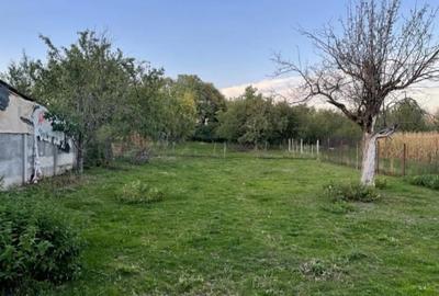 Casă cu 7 camere cu Teren 1974 Mp în Sud