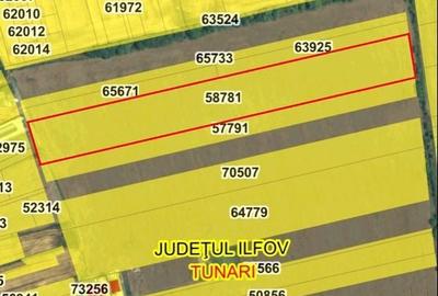 Spațiu comercial, în Dimieni - 9