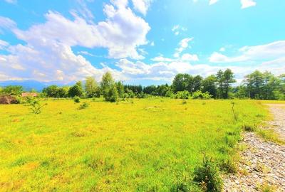 Teren intravilan 1000 mp, Valea Avrigului - 2