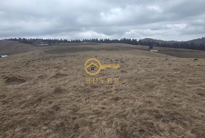 Spațiu comercial, în Rășinari - 4