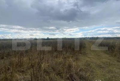 Teren de 2500 mp, în Central - 1