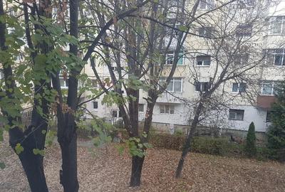 Apartament doua camere, etaj 2, renovat, liber, Narcisa - 9