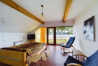 Casa de vacan?a langa lacul Surduc! - 6