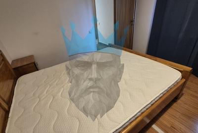 Apartament cu 2 camere decomandat, mobilat în Tudor Vladimirescu - 7