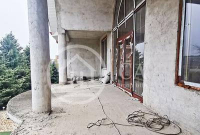 Proprietate speciala de inchiriat D+P+E+M in Calea Aradul... - 10