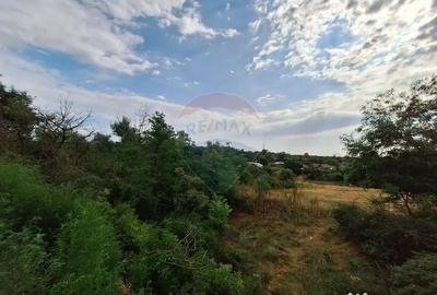 Casă cu 2 camere cu Teren 5361 Mp în Homești - 4