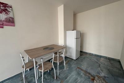 Garsonieră semidecomandată în Vișani - 5