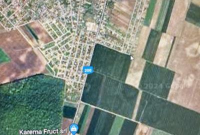 Teren intravilan Dascalu , 18000 m /17€ m2 - 7