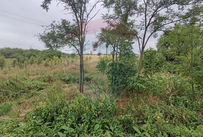 Teren Construcții intravilan de 2341 mp, în Uileacu de Munte - 14