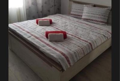 Apartament cu 2 camere decomandat în Palazu Mare - 2