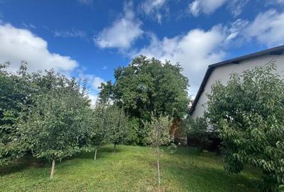 Vanzare teren investitie retail in Gura Humorului - Bld. Bucovinei - 13