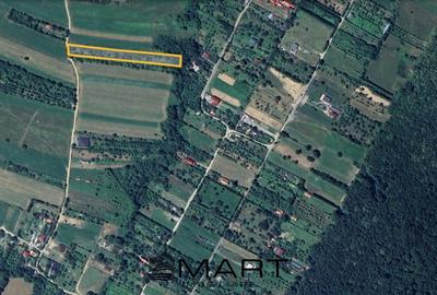 Teren agricol extravilan de 3200 mp, în Rășinari - 3