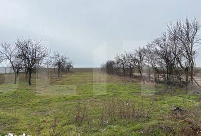 Casă cu 4 camere cu Teren 1512 Mp în Fântânele - 2