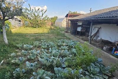 Casă cu Teren 680 Mp în Lugașu de Jos - 1