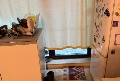 Apartanent in vila, cladire noua, aproape de centru, cu gradina privata de 40 mp - 7