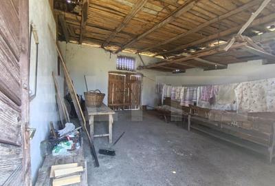 Casa cu 3 camere ?i o bucatarie de vara ?i 1300 mp teren Casa cu 3 camere ?i o bucatarie de vara ?i 1300 mp teren - 9