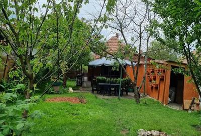 Vand Casa Gospodarie in Dezmir Apahida - 2