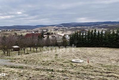 Teren de 1100 mp, în Borhanci