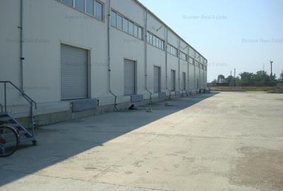 Zona Est - Drumul Intre Tarlale - Autostrada A2 - 2