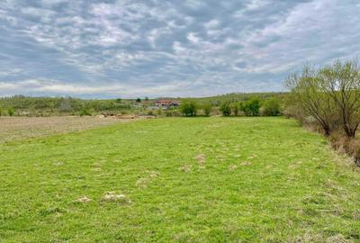 Spațiu comercial, în Ezeriș - 4