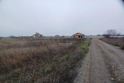 Teren Corbeanca- Strada Trei Lacuri - 11