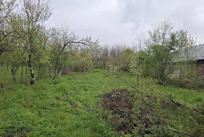 Teren de 3000 mp, în Predeal - 5