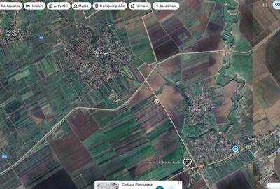 Teren de 1200 mp, în Pietroasele - 3