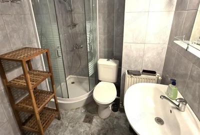 Apartament de inchiriat ultracentral, langa Parcul Eminescu - 3