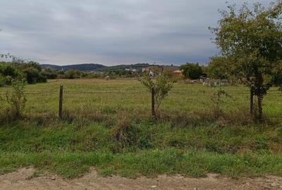 Teren intravilan 8000 mp , DR.D.Vechi - 8