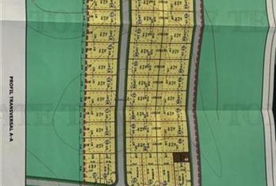 Teren 64 de parcele de vanzare /  Teren de investitie / Frumusani / Calarasi - 2