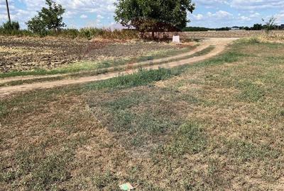 De vanzare teren intravilan 4000 mp deschidere 150 m Fundulea - 4