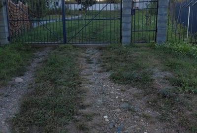 Vand casă și teren de 10 arii.Zina liniștită - 10